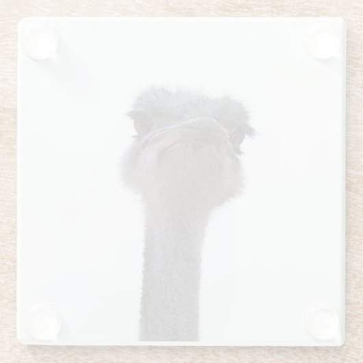 Strauß Glasuntersetzer (Rückseite)