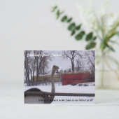 Strauß im Schnee Postkarte (Stehend Vorderseite)