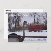 Strauß im Schnee Postkarte (Vorne/Hinten)