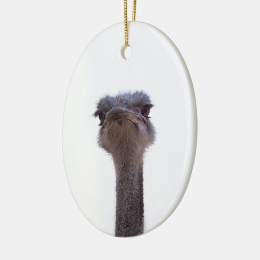 Strauß Keramik Ornament (Links)