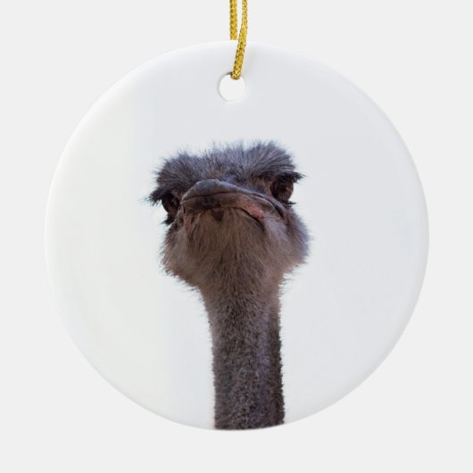 Strauß Keramik Ornament (Vorne)