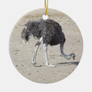 Strauß Keramikornament