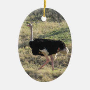 Strauß Keramikornament