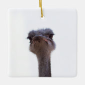 Strauß Keramikornament (Vorderseite)