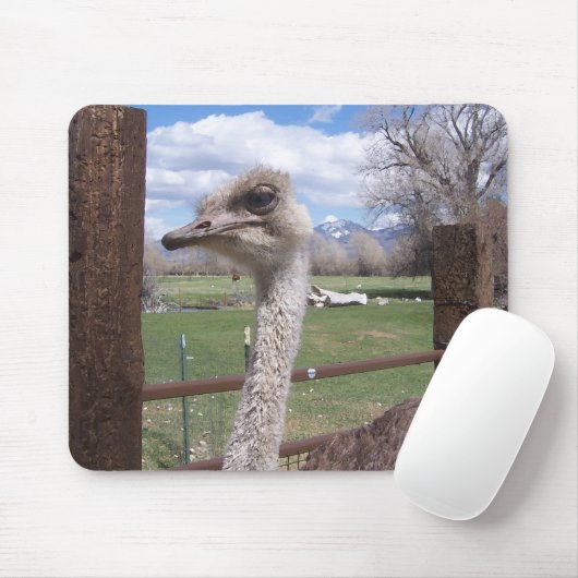 Strauß-Kopf Mousepad (Mit Mouse)