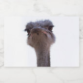 Strauß Lebensmitteletikett (Einzelnes Label)