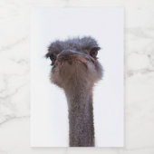 Strauß Lebensmitteletikett (Einzelnes Label)