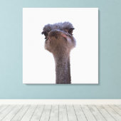 Strauß Leinwanddruck (Insitu (Holzboden))