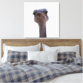 Strauß Leinwanddruck (Insitu (Schlafzimmer))