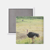 Strauß Magnet (Vorderseite/Rückseite)
