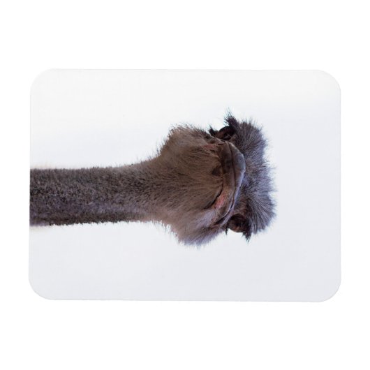 Strauß Magnet (Horizontal)