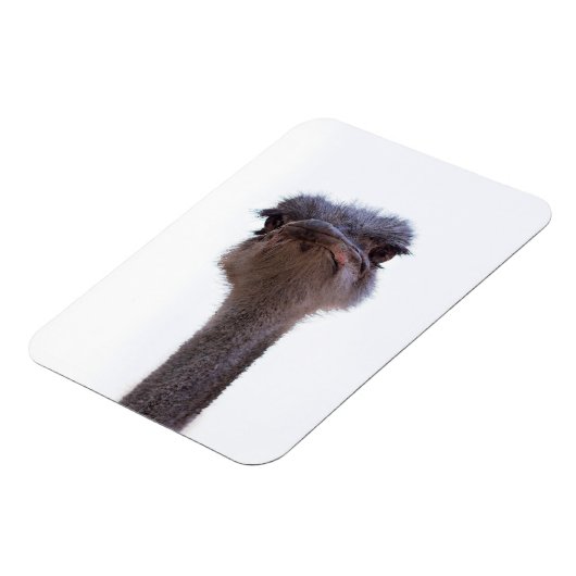 Strauß Magnet (Linke Seite)