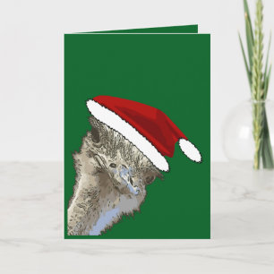 Strauß mit Weihnachtsmannmütze Weihnachten Zoo-Tie