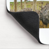 Strauß Mousepad (Ecke)