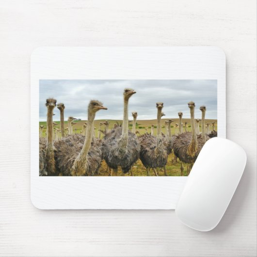 Strauß Mousepad (Mit Mouse)