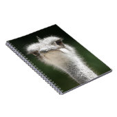 Strauß Notizblock (Rechte Seite)