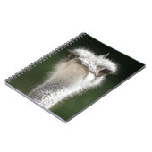 Strauß Notizblock (Linke Seite)