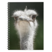 Strauß Notizblock (Vorderseite)