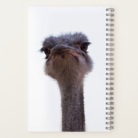 Strauß Notizblock (Rückseite)