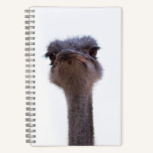 Strauß Notizblock (Vorderseite)