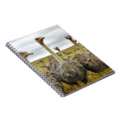 Strauß Notizblock (Rechte Seite)