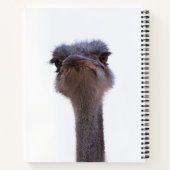 Strauß Notizblock (Rückseite)