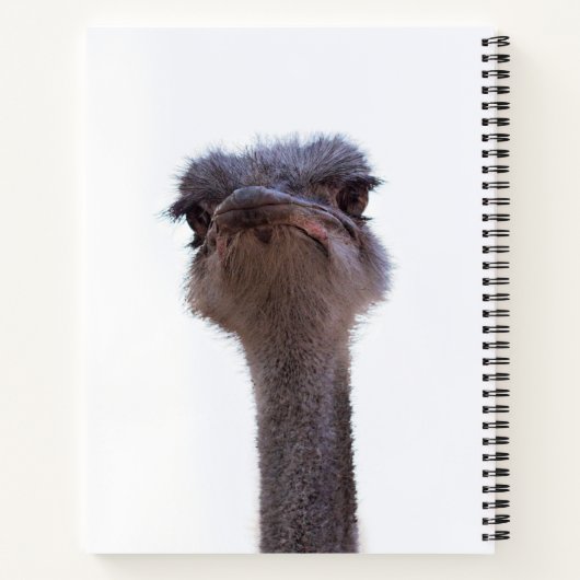 Strauß Notizblock (Rückseite)