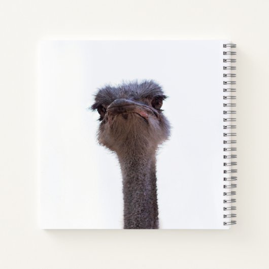 Strauß Notizblock (Rückseite)