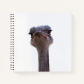 Strauß Notizblock (Vorderseite)