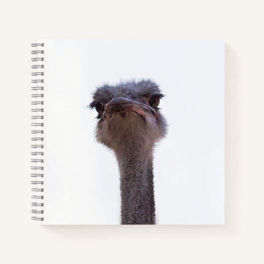Strauß Notizblock (Vorderseite)