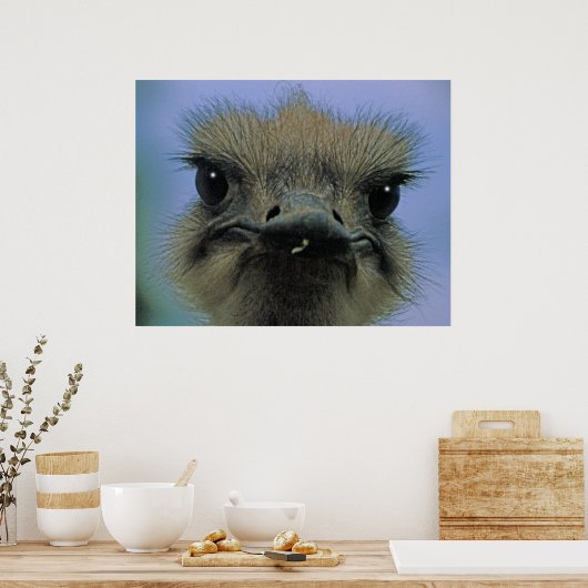Strauß oder Emu mit "Themen"! Poster (Küche)