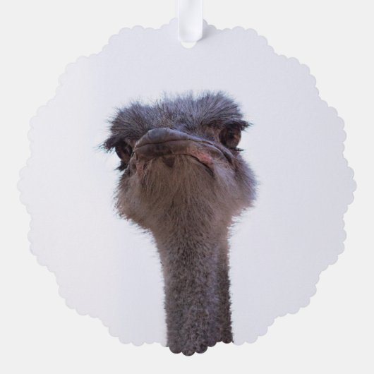 Strauß Ornament Karte (Rückseite)