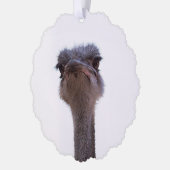 Strauß Ornament Karte (Links)