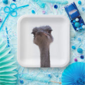 Strauß Pappteller (Party)