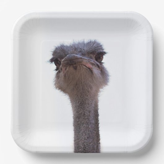 Strauß Pappteller (Vorderseite)