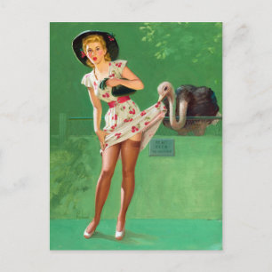 Strauß Pin Up Postkarte