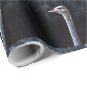 Strauß Portrait Geschenkpapier (Rolleneckpunkt)
