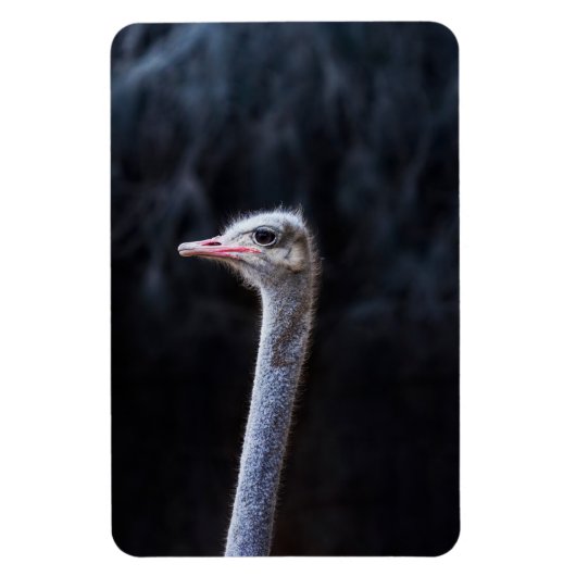 Strauß Portrait Magnet (Vertikal)