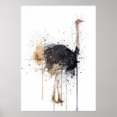 Strauß Poster (Vorne)