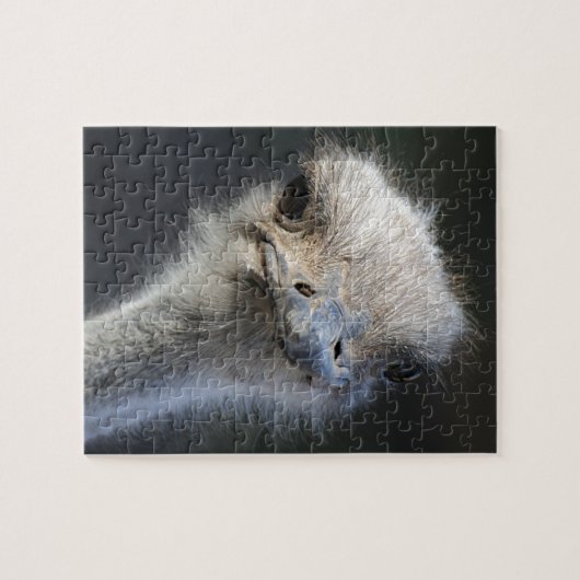 Strauß Puzzle (Horizontal)