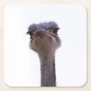 Strauß Rechteckiger Pappuntersetzer