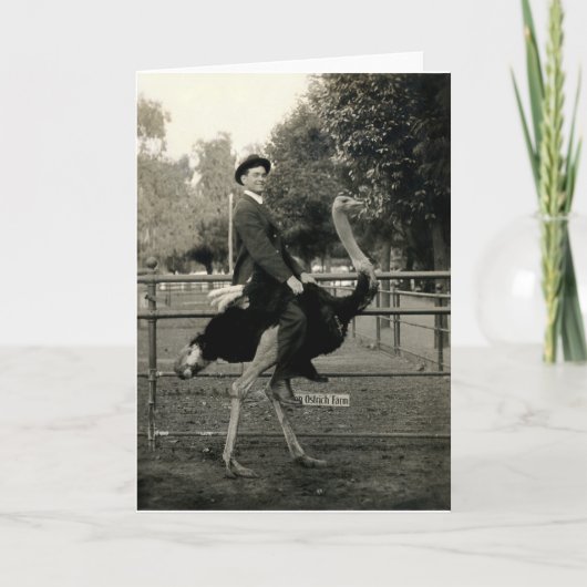 Strauß-Reiten 1910 Karte (Vorderseite)