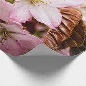 Strauß rosa Sakura gegen den rosa Hintergrund Geschenkpapier (Ecke)