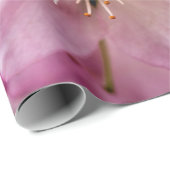 Strauß rosa Sakura gegen den rosa Hintergrund Geschenkpapier (Rolleneckpunkt)