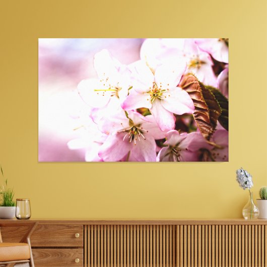 Strauß rosa Sakura gegen den rosa Hintergrund Leinwanddruck (Insitu (Wohnzimmer))