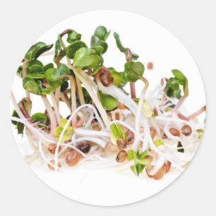 Strauß Runder Aufkleber