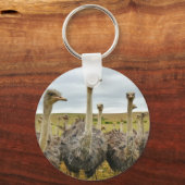 Strauß Schlüsselanhänger (Vorderseite)