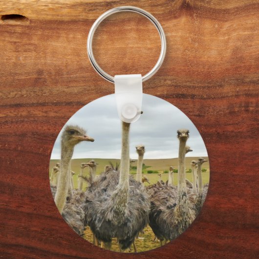 Strauß Schlüsselanhänger (Vorderseite)