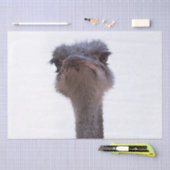 Strauß Seidenpapier (Handwerk)