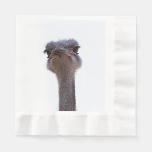 Strauß Serviette